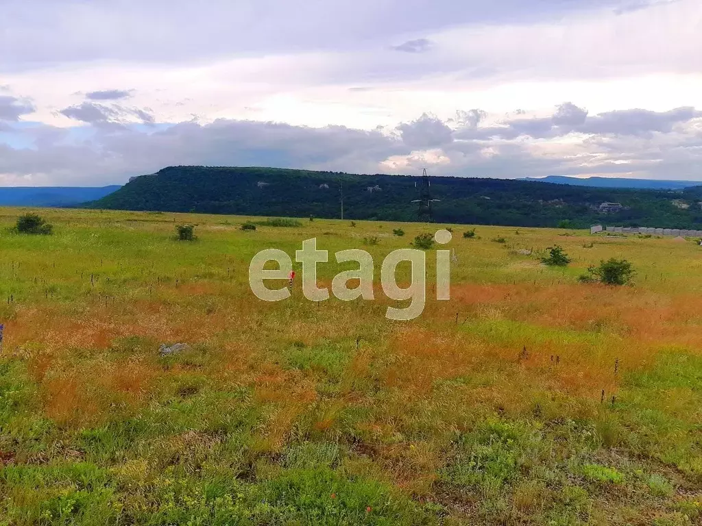 Купить Сено В Бахчисарайском Районе