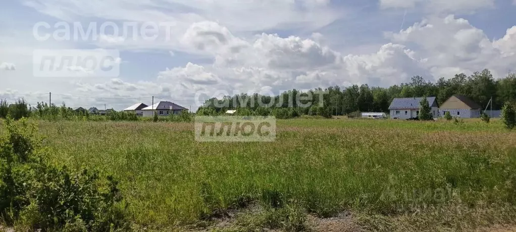 Участок в Тюменская область, Тюменский район, Кулаковское ... - Фото 1