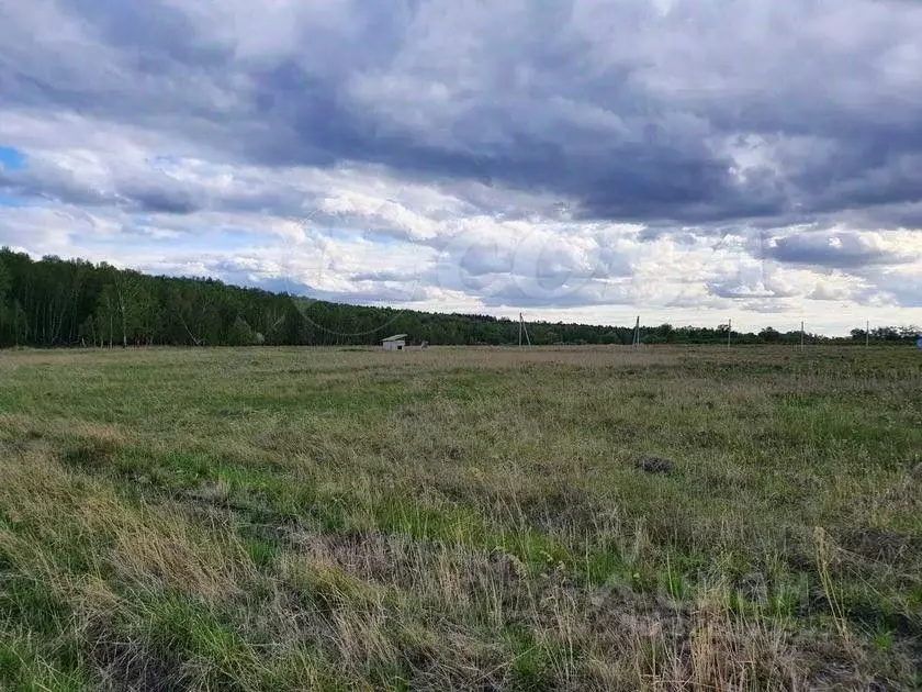 Участок в Курганская область, Курган Центральный жилрайон, ул. 1 Мая ... - Фото 1