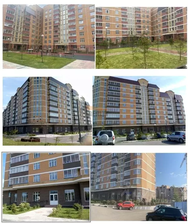 Торговая площадь в Калужская область, Малоярославец пл. Ленина (236 м) - Фото 2