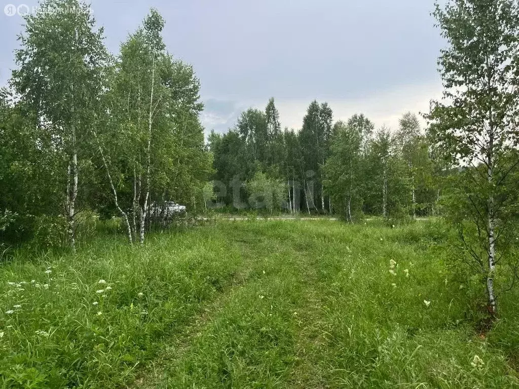 Участок в Майминский район, село Кызыл-Озек (10 м) - Фото 1