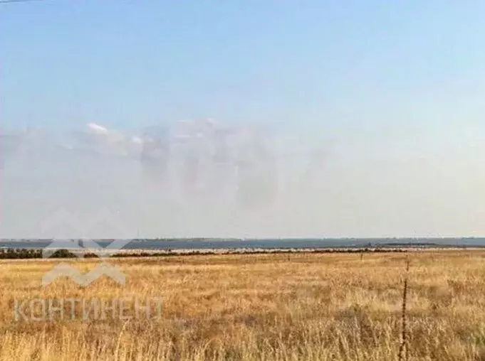 Участок в Крым, Черноморский район, Медведевское с/пос, с. Медведево ... - Фото 1