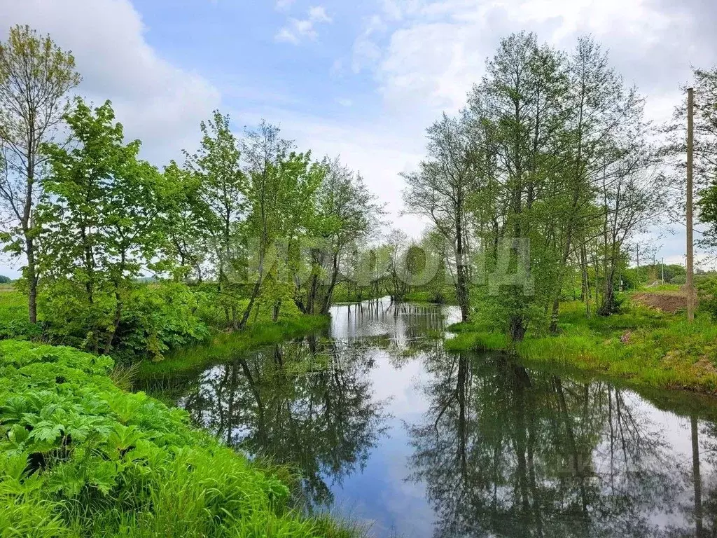 Участок в Калининградская область, Зеленоградский муниципальный округ, ... - Фото 1