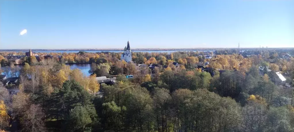 1-к кв. Санкт-Петербург, Санкт-Петербург, Сестрорецк наб. Строителей, ... - Фото 2