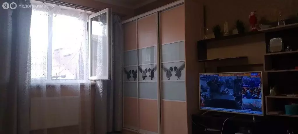 Квартира-студия: Российский, улица Куликова Поля, 33 (26.3 м) - Фото 2