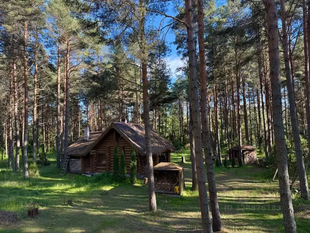 Дом в Псковская область, Псковский муниципальный округ, Середкинская ... - Фото 1