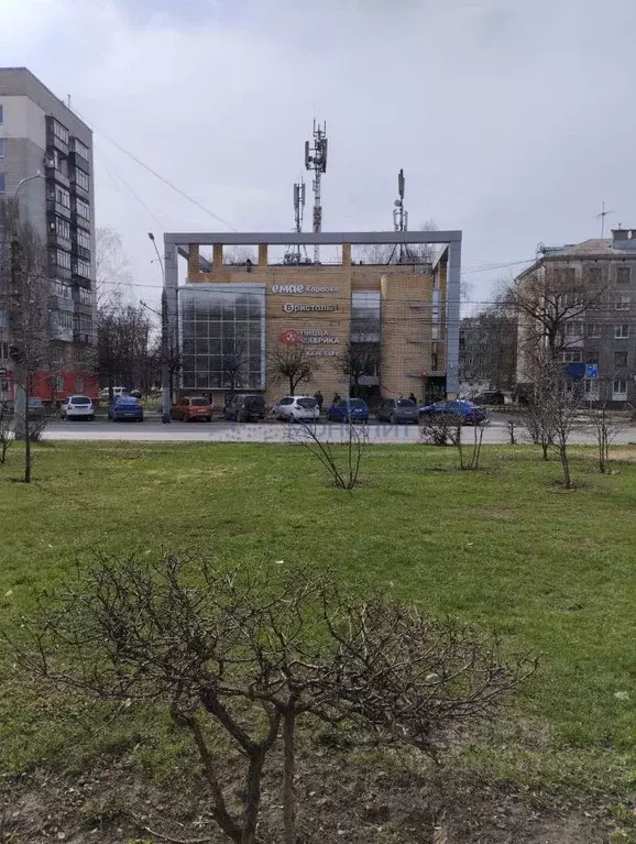 Торговая площадь в Нижегородская область, Нижний Новгород ул. ... - Фото 2