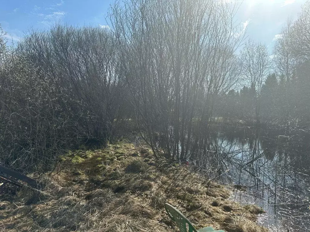 Участок, 25 сот., поселения (ижс) - Фото 1