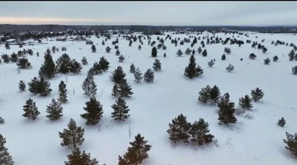 Участок в Алтайский край, Первомайский район, с. Фирсово, Рощино мкр ... - Фото 0