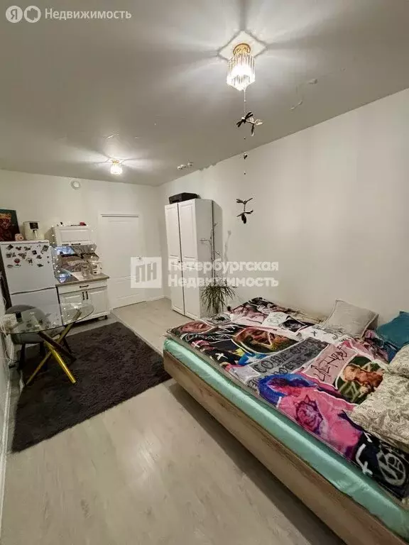 Квартира-студия: Санкт-Петербург, Суздальское шоссе, 22к3 (23.8 м) - Фото 2