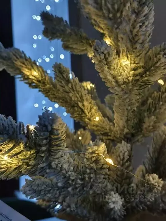 1-к кв. Тверская область, Тверь ул. Вольного Новгорода, 14 (27.0 м) - Фото 2