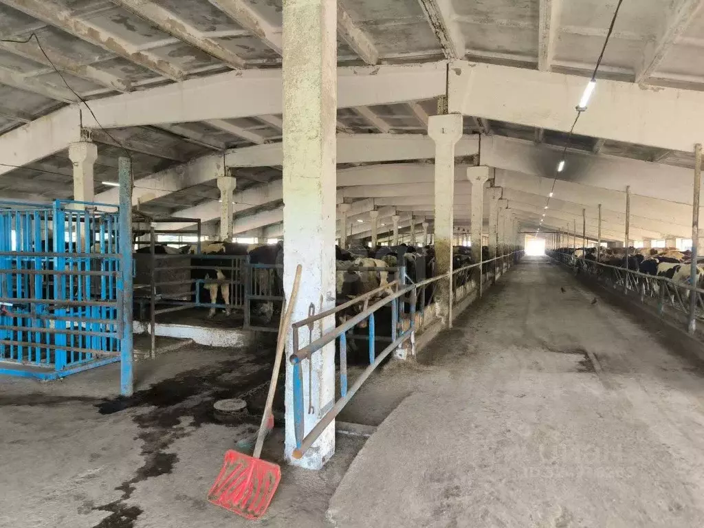 Склад в Красноярский край, Рыбинский муниципальный округ, д. Глубоково ... - Фото 1