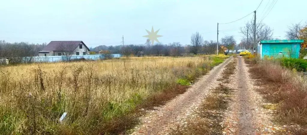 Участок в Белгородская область, Белгород Фазенда садоводческое ... - Фото 2