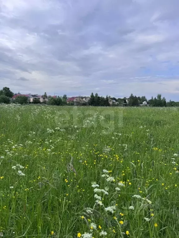 Участок в Ленинградская область, Всеволожский район, Романовское ... - Фото 0