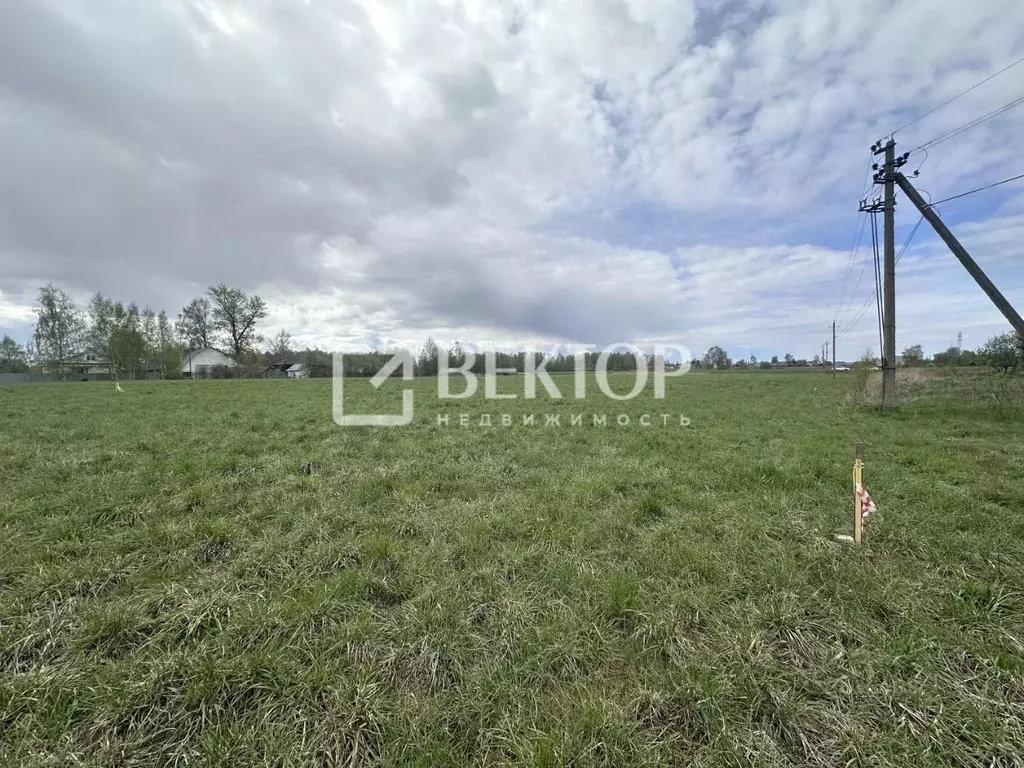 Участок в Костромская область, Костромской район, Шунгенское с/пос, с. ... - Фото 1