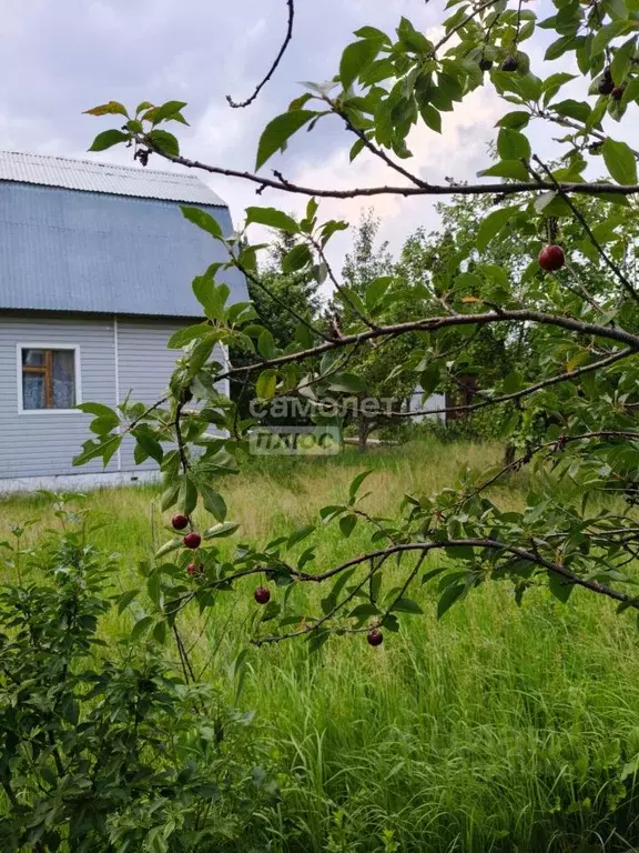 Участок в Московская область, Солнечногорск городской округ, д. ... - Фото 2
