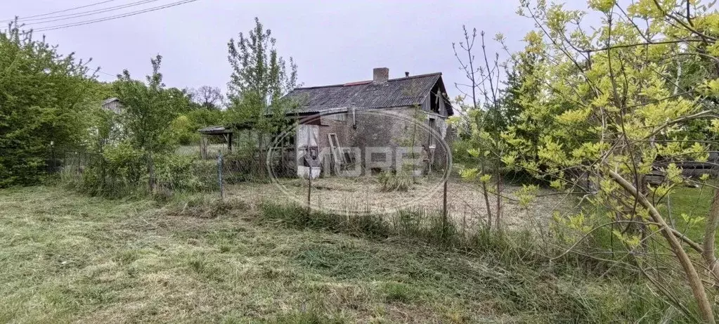 Участок в Калининградская область, Багратионовский муниципальный ... - Фото 2