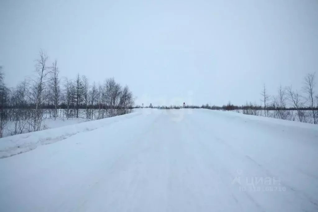 Участок в Ямало-Ненецкий АО, Новый Уренгой ул. Рахманинова, 18 (12.0 ... - Фото 0