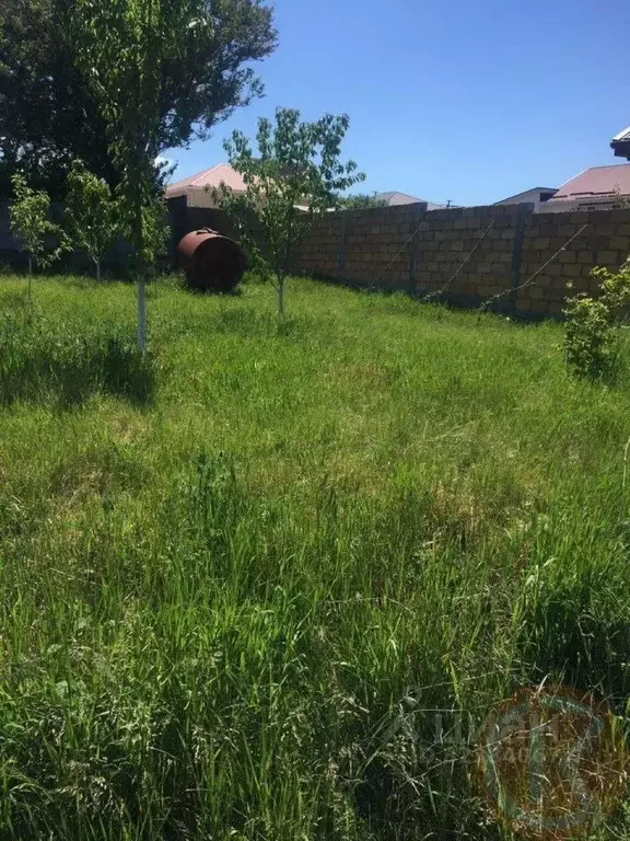 Участок в Крым, Симферопольский район, Добровское с/пос, с. Пионерское ... - Фото 2