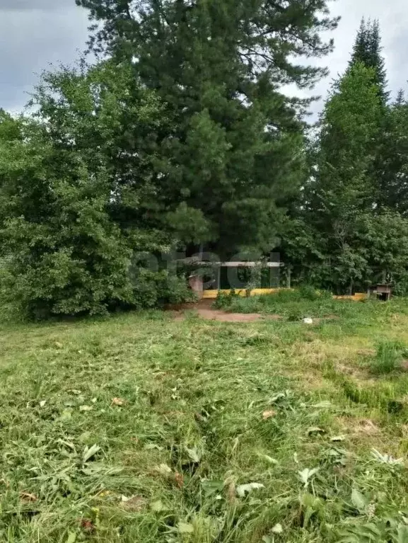 Дом в Алтай, Турочакский район, с. Иогач Дачная ул., 2 (52 м) - Фото 1