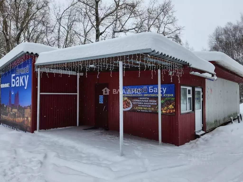 Помещение свободного назначения в Коми, Сыктывкар ул. Пушкина, 97/1 ... - Фото 1