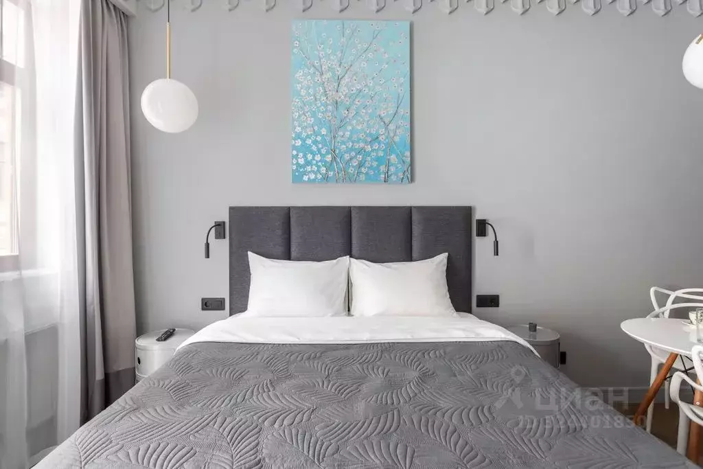 Студия Санкт-Петербург ул. Большая Зеленина, 6 (23.0 м) - Фото 2