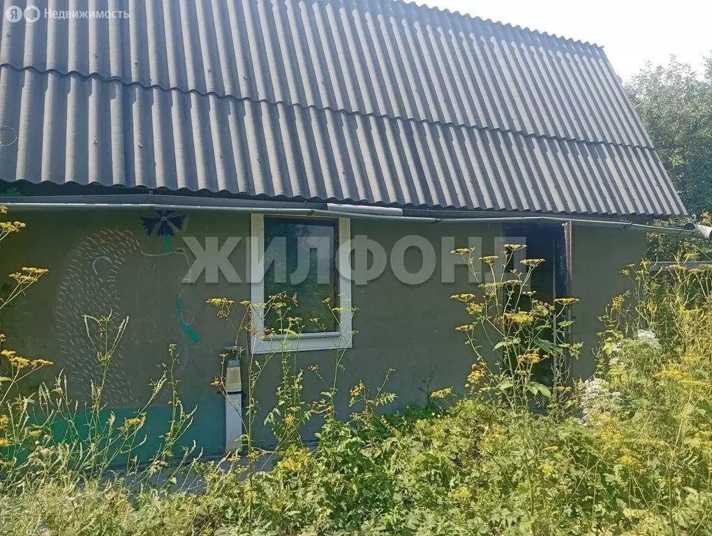 Дом в Искитим, садовое товарищество Зелёный Бор (22 м) - Фото 1
