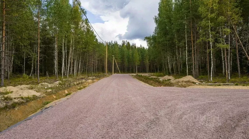 Участок в Ленинградская область, Выборгский район, Рощино пгт проезд ... - Фото 1