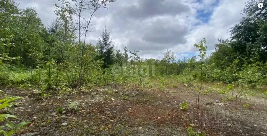 Участок в Сахалинская область, Долинский городской округ, с. Сокол  ... - Фото 0
