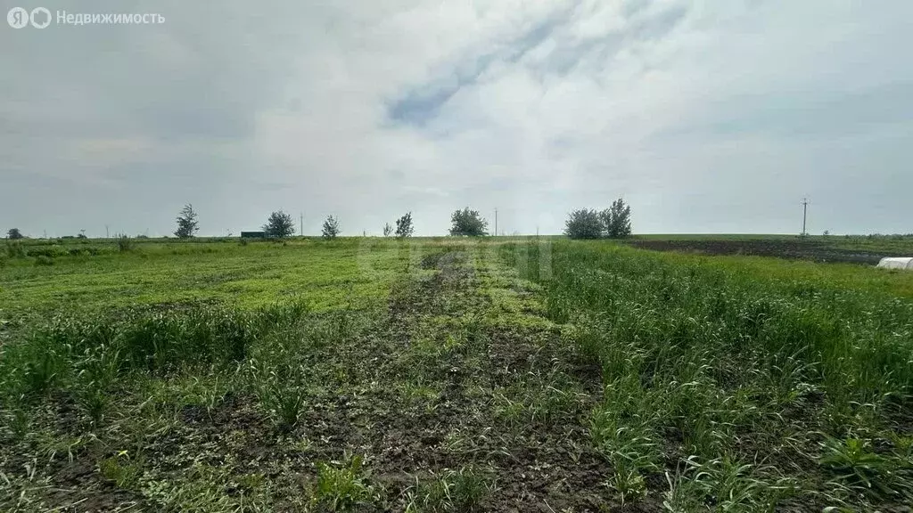 Дом в Орловский муниципальный округ, деревня Жуковка, Раздольная улица ... - Фото 1