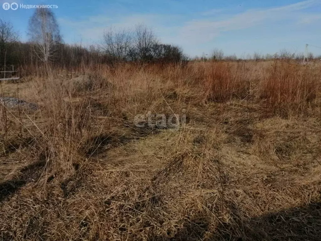 Участок в Тюменский район, село Яр (6 м) - Фото 1