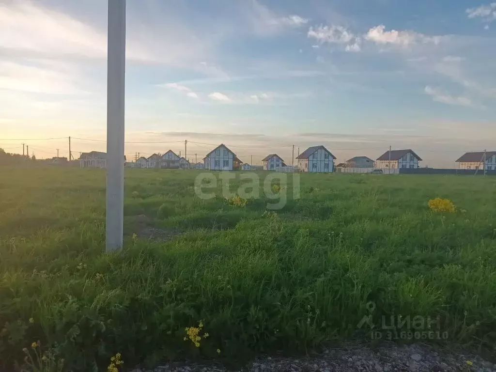 Участок в Ленинградская область, Тосненский район, Тельмановское ... - Фото 0