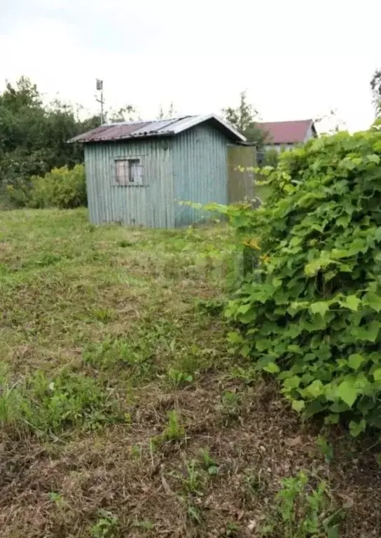Дом в Калининградская область, Калининград 50 лет Октября СНТ, ул. ... - Фото 0