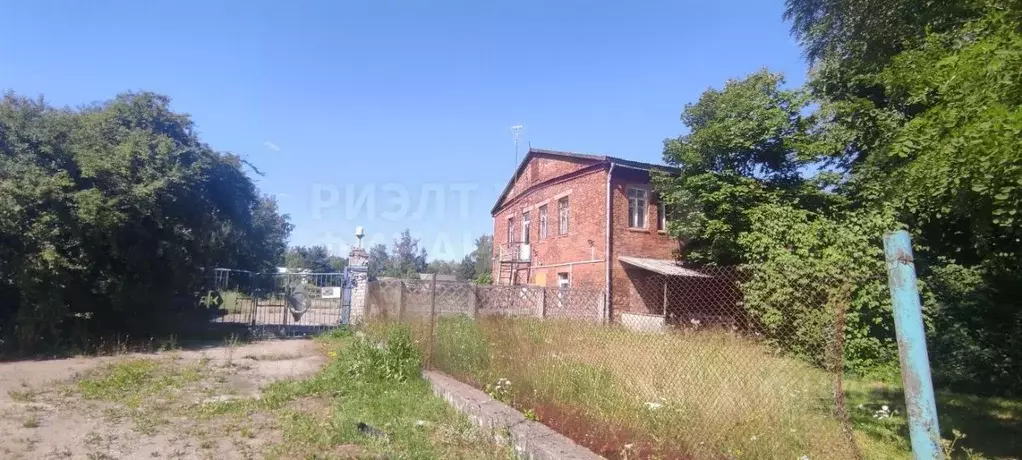 Производственное помещение в Калининградская область, Светлый ... - Фото 1