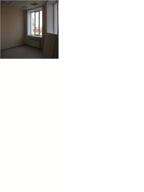 Помещение свободного назначения в Алтайский край, с. Родино ул. ... - Фото 1