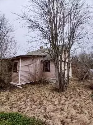 Дом в Ленинградская область, Лужский район, Мшинское с/пос, Мшинская ... - Фото 2