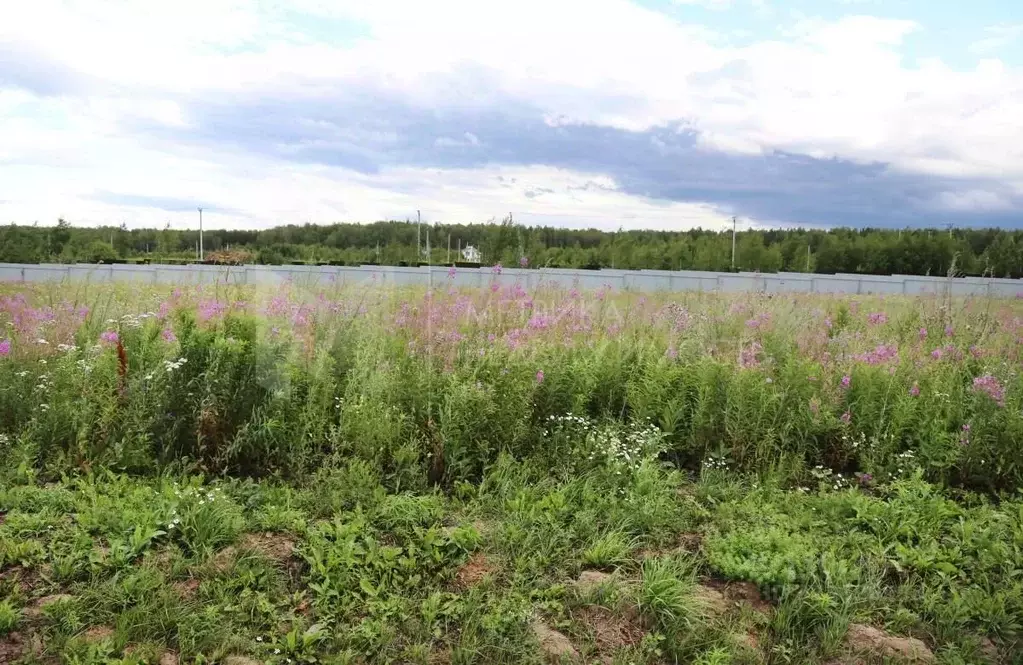 Участок в Тюменская область, Тюменский муниципальный округ, с. Кулига  ... - Фото 1