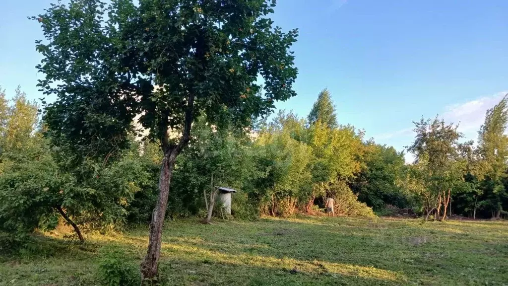 Участок в Новосибирская область, Новосибирск Комета-Березка садовое ... - Фото 2