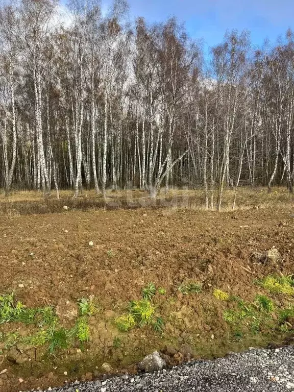 Участок в Московская область, Чехов городской округ, д. Чепелево  (5.8 ... - Фото 0