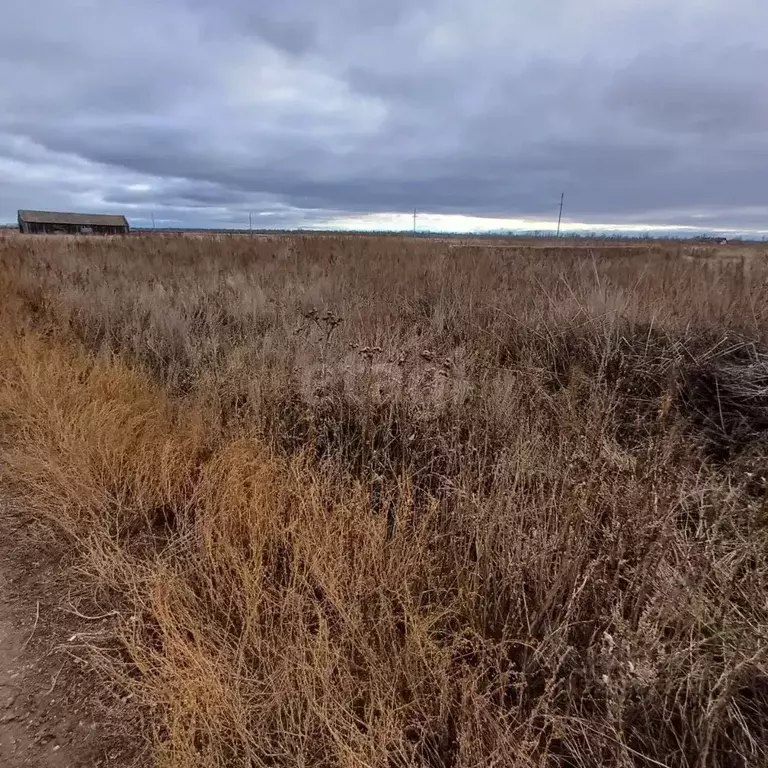 Участок в Оренбургская область, Сакмарский район, с. Беловка ул. ... - Фото 2