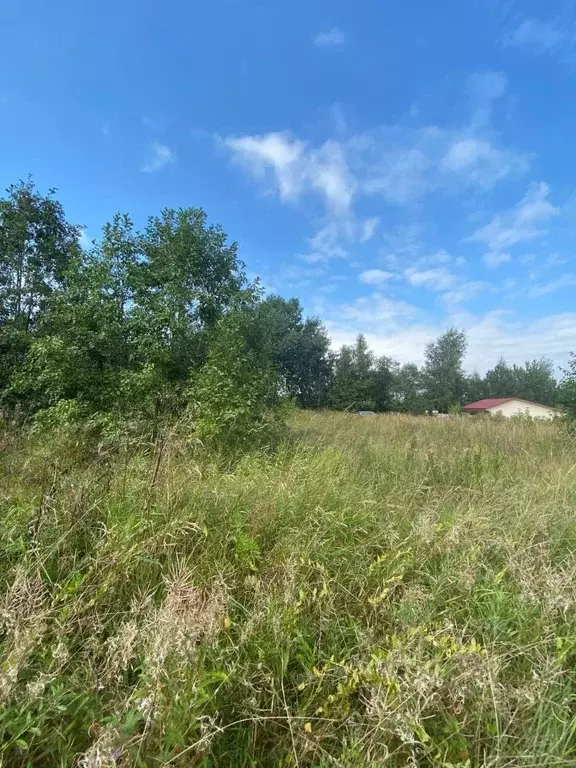 участок в московская область, химки городской округ, дачной застройки . - Фото 0