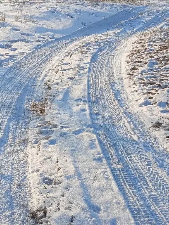 Участок в Хакасия, Черногорск ул. Покровская (7.5 сот.) - Фото 0