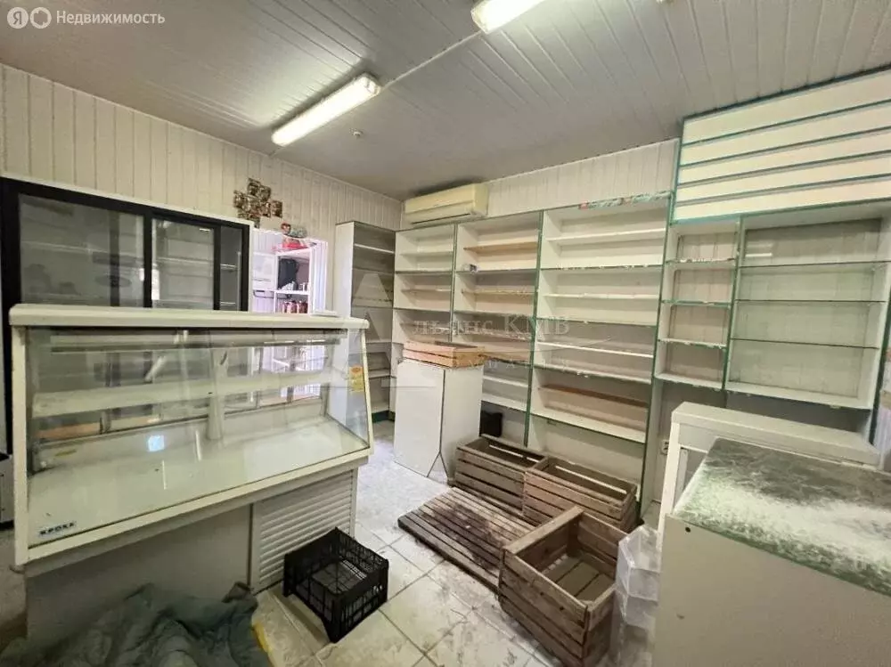 Помещение свободного назначения (41 м) - Фото 1