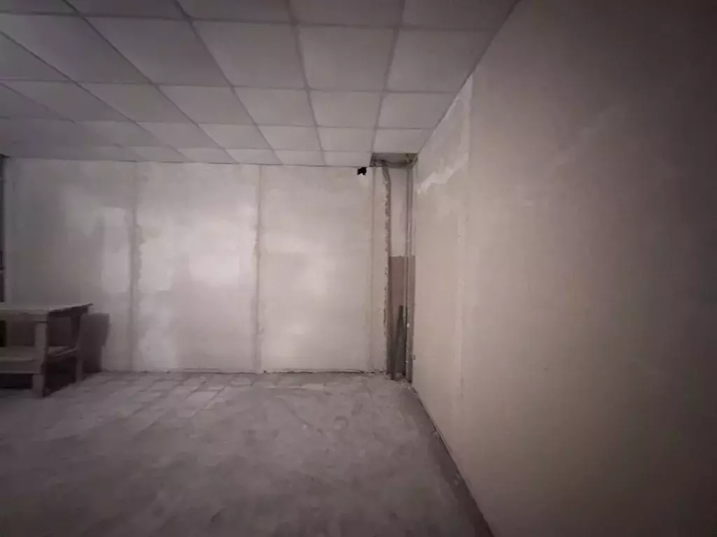 Торговая площадь в Брянская область, Брянск ул. Шолохова, 37В (25 м) - Фото 2