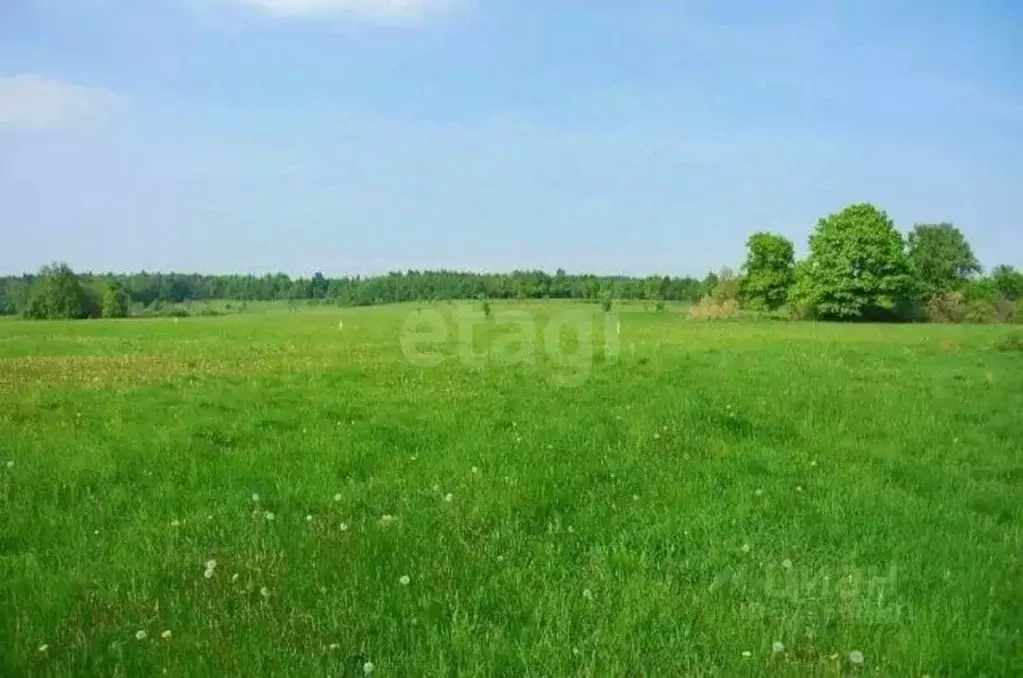 Участок в Ростовская область, Аксайский район, Ольгинская ст-ца ... - Фото 1