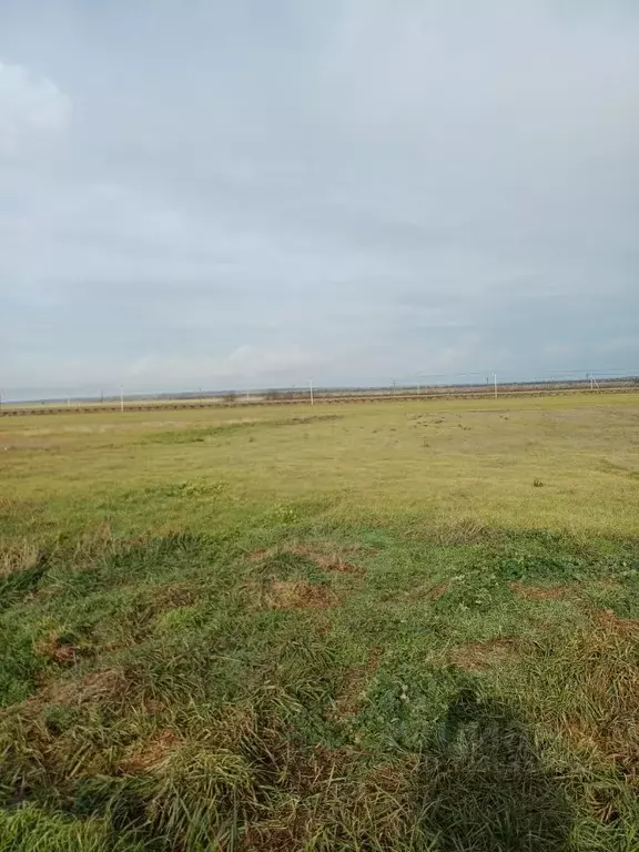 Участок в Крым, Ленинский район, с. Батальное ул. Виноградная (9.2 ... - Фото 2