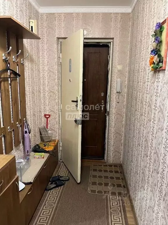 1-к кв. Липецкая область, Липецк ул. Студенческий Городок, 15 (29.7 м) - Фото 1