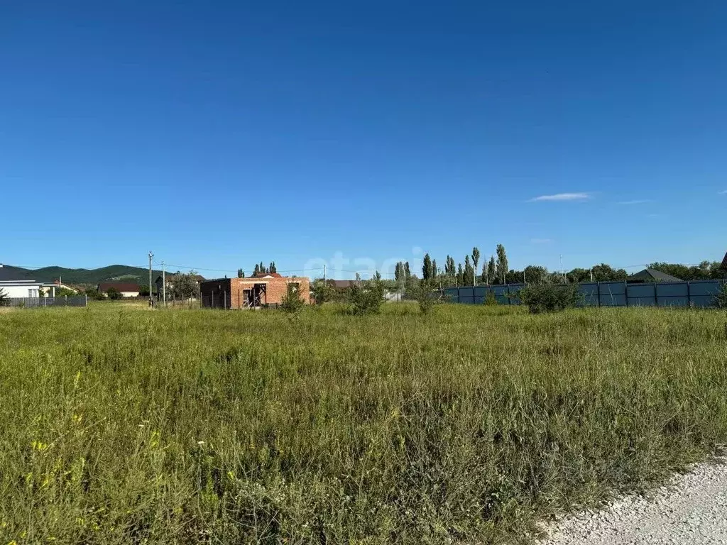 Участок в Краснодарский край, Новороссийск городской округ, ... - Фото 1