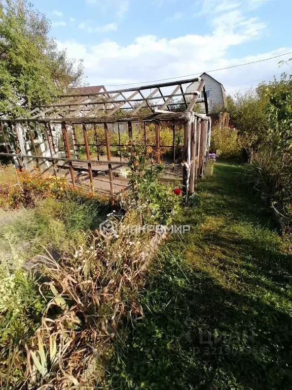 Участок в Брянская область, Брянский район, Новодарковичское с/пос, ... - Фото 2