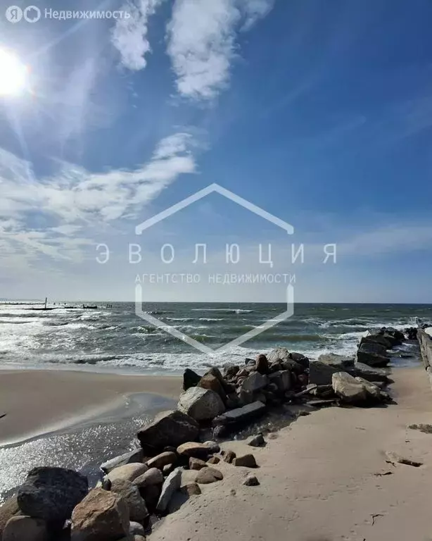 Квартира-студия: Светлогорск, Олимпийский бульвар, 3 (46 м) - Фото 0